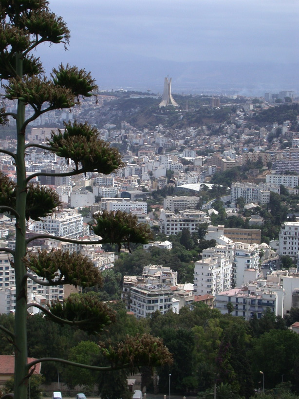 edscn0084.jpg