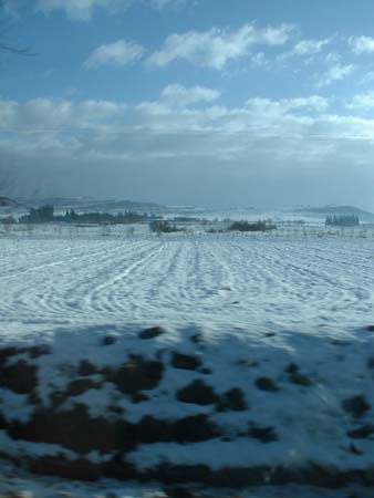 DSCF0028